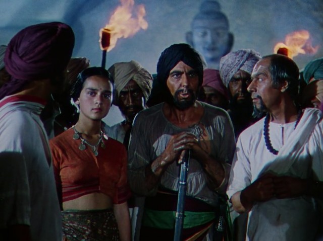 Ormanın Kitabı Fotoğrafı