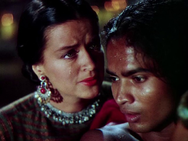 Ormanın Kitabı Fotoğrafı