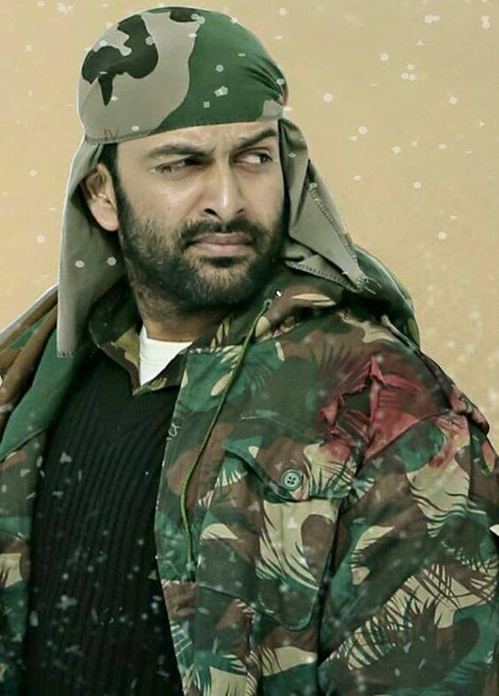 Picket 43 Fotoğrafı