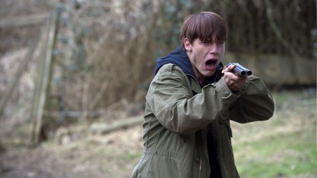 Siyah Sinek Fotoğrafı