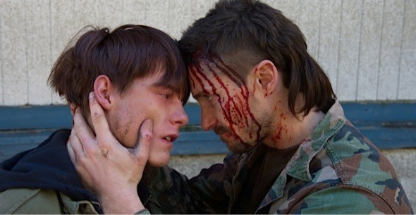 Siyah Sinek Fotoğrafı