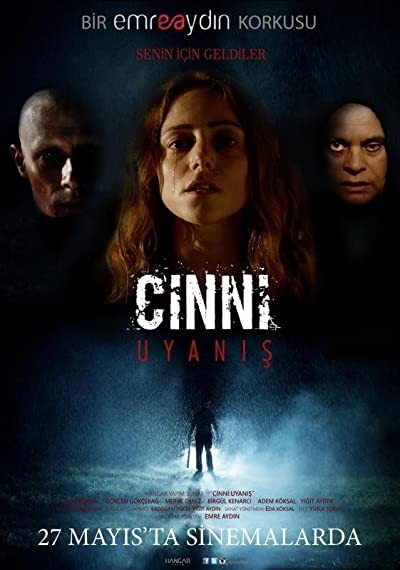 Cinni: Uyanış (2016) afişi