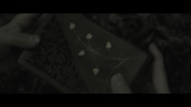 6 Metre Altı Fotoğrafı