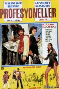 Profesyoneller (1971) afişi