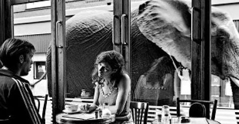 Tutunamayanlar fotoğrafı