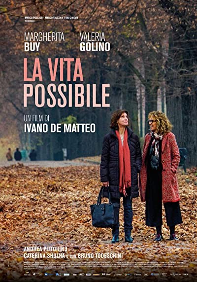 La vita possibile (2016) afişi