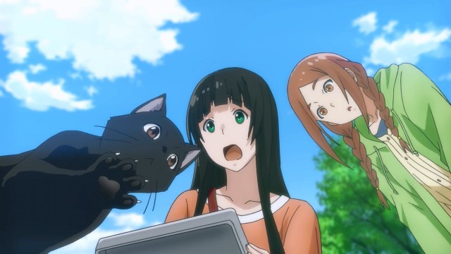 Flying Witch  Fotoğrafı