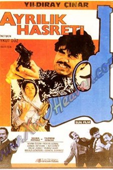 Ayrılık Hasreti (1986) afişi