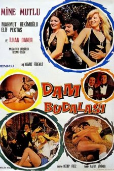 Dam Budalası (1975) afişi