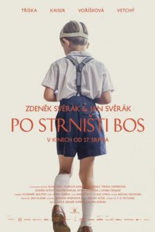 Po strnisti bos  (2017) afişi
