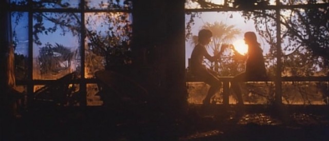 Dünyanın Orta Yerinde Aşk İçin Ağlıyorum Fotoğrafı