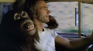 Asla Yenilme Fotoğrafı