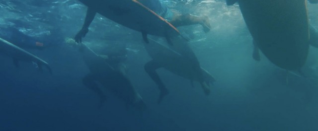 Solo: Alone Fotoğrafı