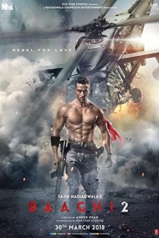 Baaghi 2 (2018) afişi