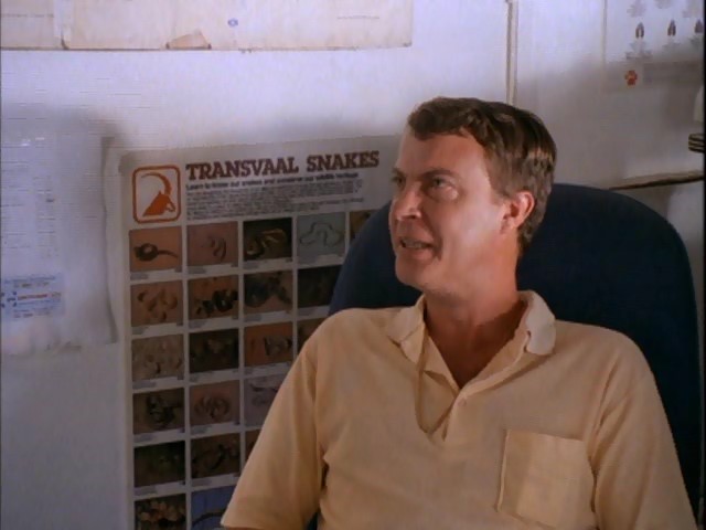 Çılgın Kaçış Fotoğrafı