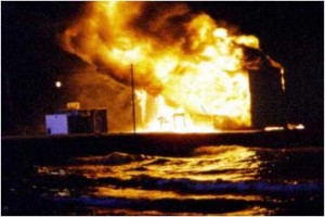 Filler ve Çimen Fotoğrafı