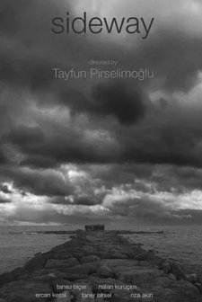 Yol Kenarı (2017) afişi