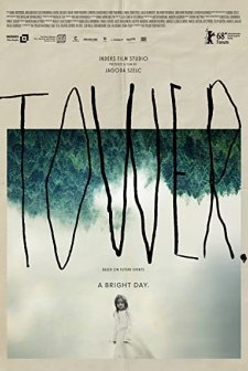 Wieza. Jasny dzien (2017) afişi