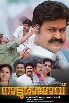 Natturajavu (2004) afişi