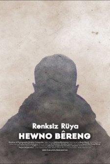 Renksiz Rüya (2017) afişi