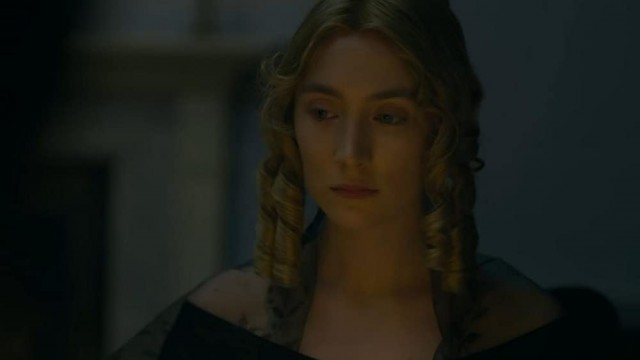 Ammonite Fotoğrafı