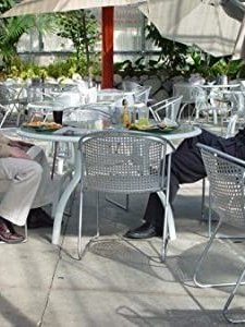 The Arsonist (2004) afişi