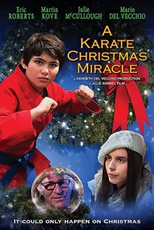 A Karate Christmas Miracle (2019) afişi