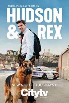 Hudson & Rex (2019) afişi