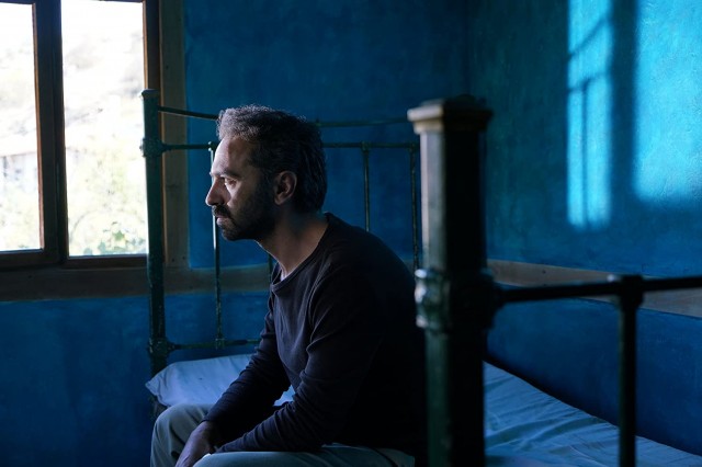 Ceviz Ağacı fotoğrafı