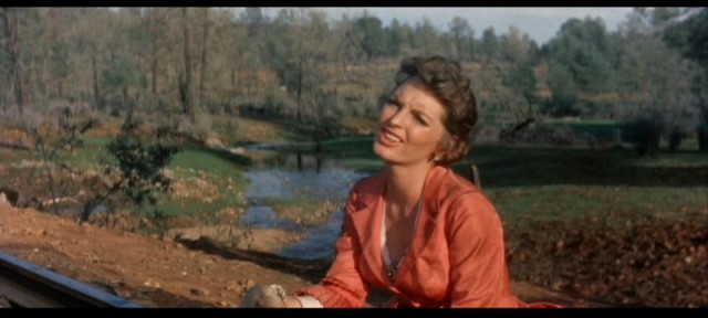 Batıdan Gelen Adam Fotoğrafı