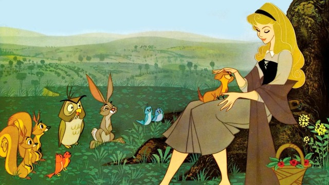 Uyuyan Güzel Fotoğrafı