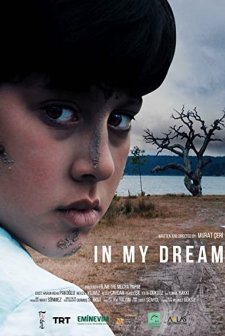 Bir Düş Gördüm (2020) afişi