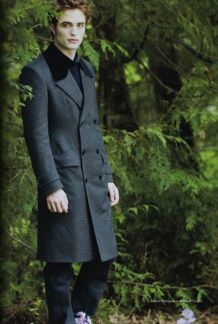 Alacakaranlık Efsanesi: Yeni Ay Fotoğrafı