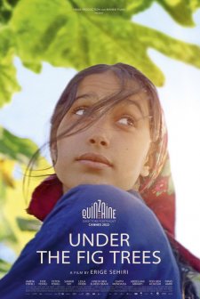 İncir Ağaçlarının Altında (2021) afişi