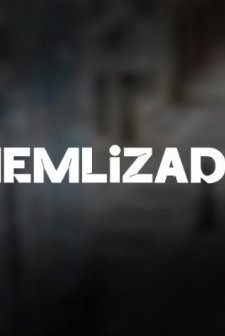 Nemlizade (2023) afişi
