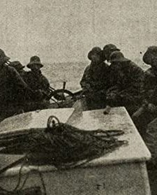 Shore Acres (1914) afişi