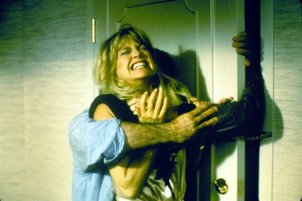 Teldeki Kuş Fotoğrafı