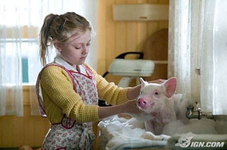 Minik Örümcek Şarlot Fotoğrafı