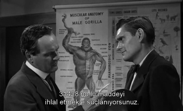 Rüzgarın Mirası Fotoğrafı