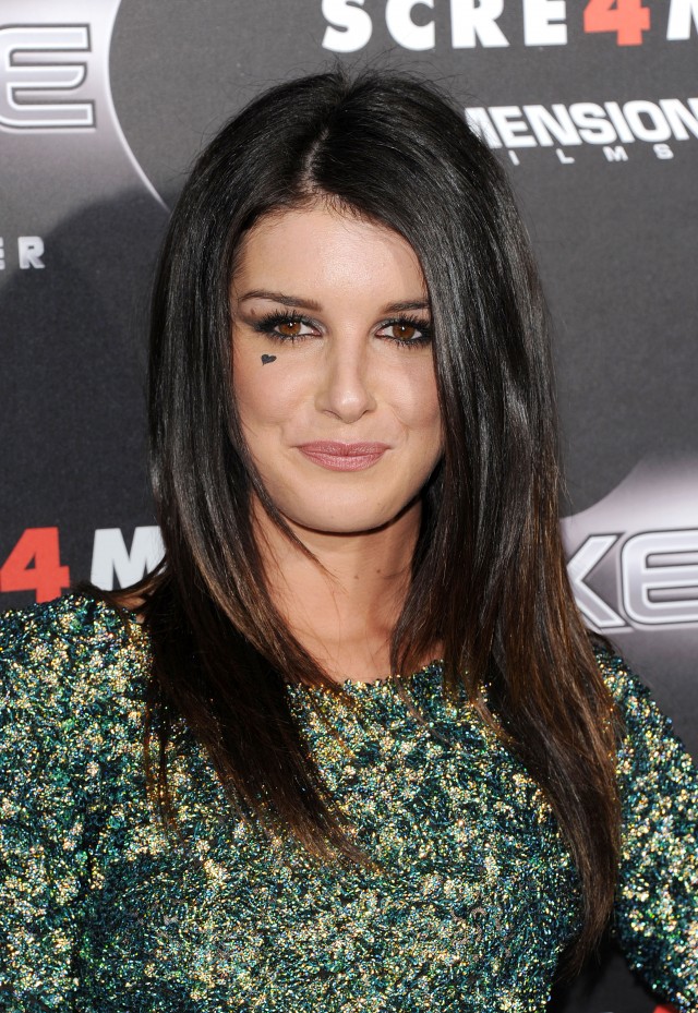 Çığlık 4 Fotoğrafı