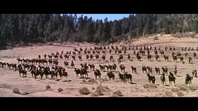 Oturan Boğa Fotoğrafı