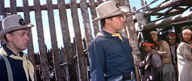 Oturan Boğa Fotoğrafı