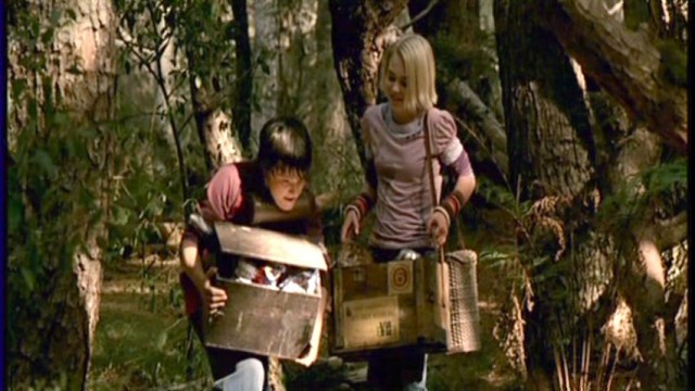 Terabithia Köprüsü Fotoğrafı