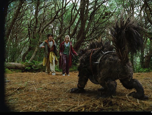 Terabithia Köprüsü Fotoğrafı