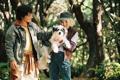 Terabithia Köprüsü Fotoğrafı