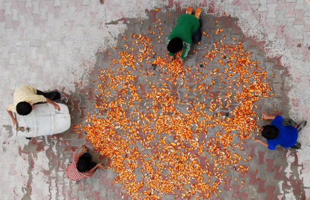 Serçelerin Şarkısı Fotoğrafı