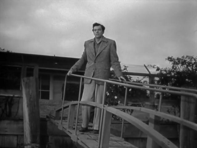 Kral'ın Bütün Adamları Fotoğrafı