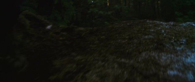 Alacakaranlık Efsanesi: Tutulma Fotoğrafı