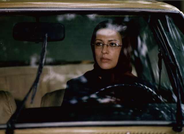 Söğüt Ağacı Fotoğrafı