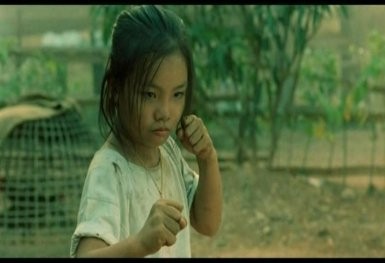 Born to Fight Fotoğrafı